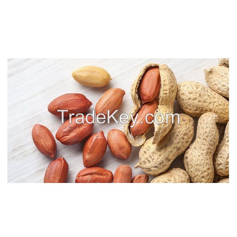 Best Quality Groundnuts Kernels High Protein Raw Peanuts For Sale