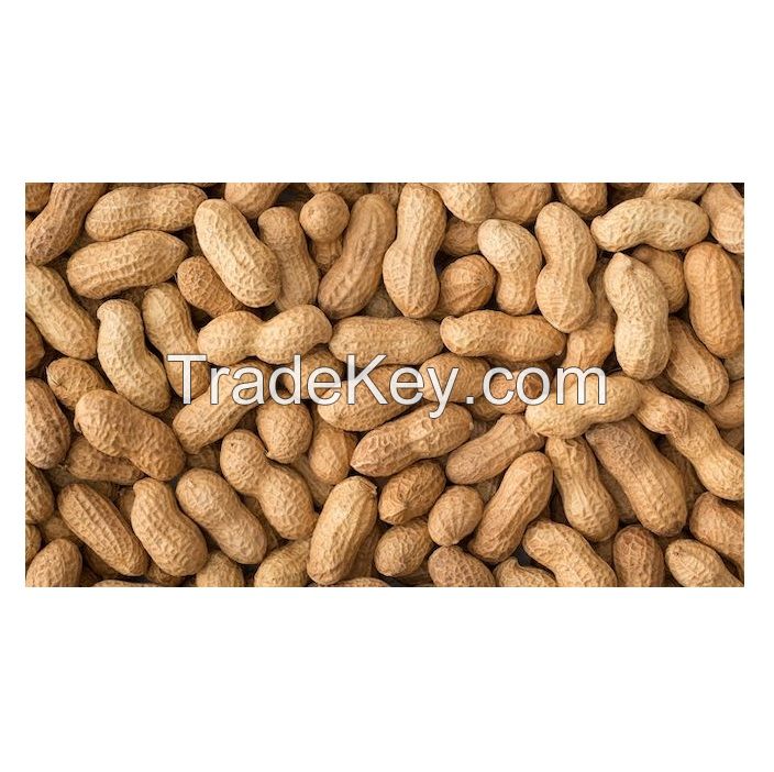 High Quality Raw Peanuts Without Shell Raw Peanuts Blanched Peanut Kernels