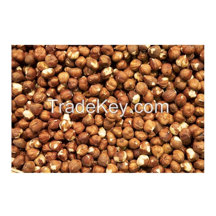 Hot selling Raw Hazelnut / Organic Grade Hazelnut/Hazel Nuts for sale