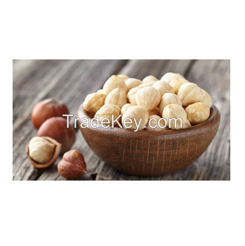 Hot selling Raw Hazelnut / Organic Grade Hazelnut/Hazel Nuts for sale