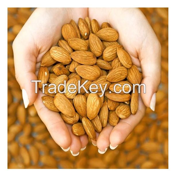 high quality badam almond nuts raw almonds kernels almond usa californie