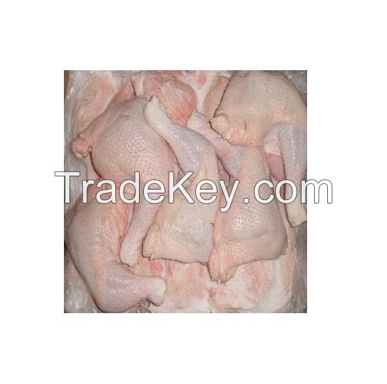 Frozen Chicken Feet / Quarter Chicken Leg / chicken breast bulk sellers