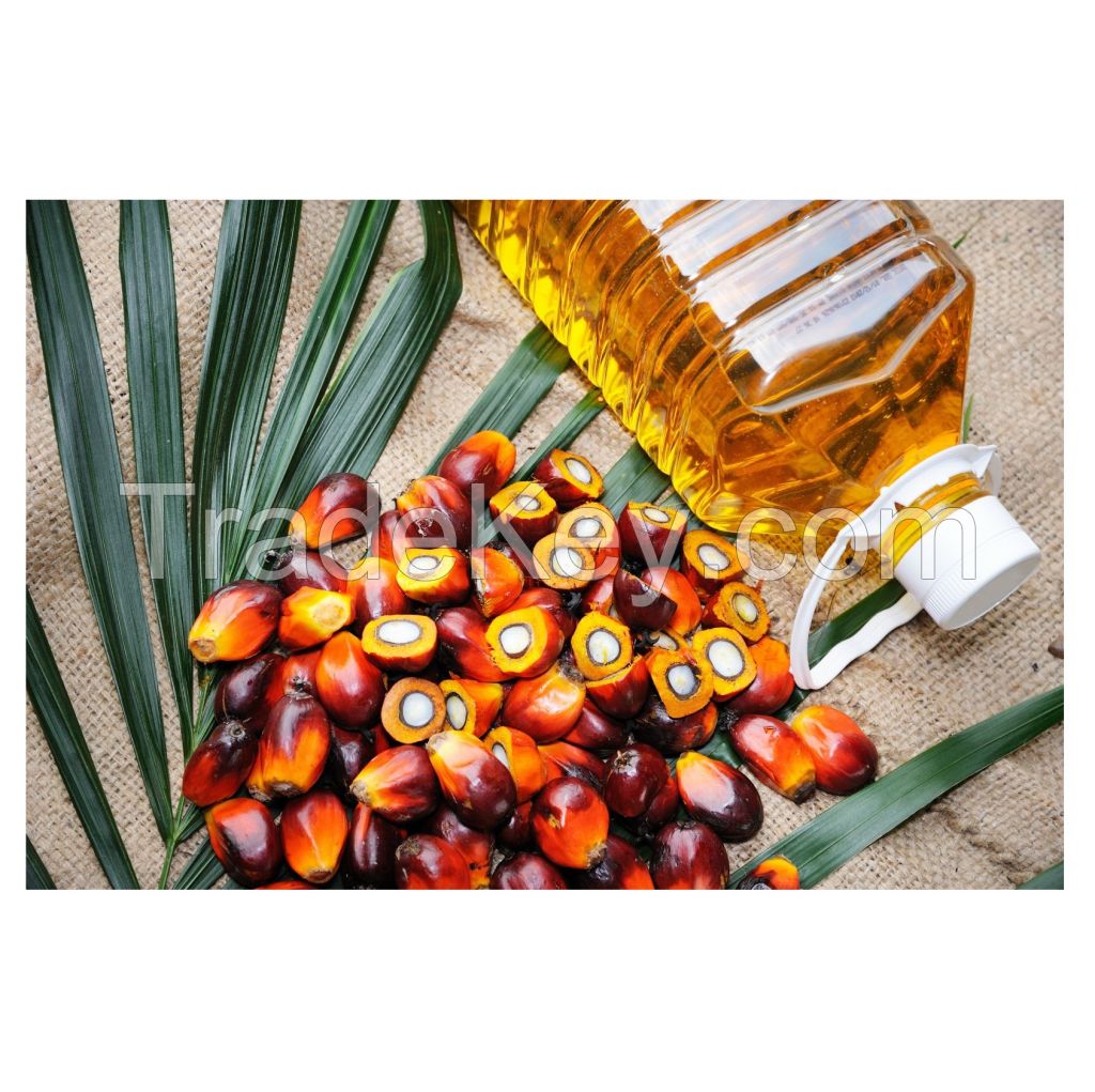 Premium Quality Vegetable Red Palm Oil