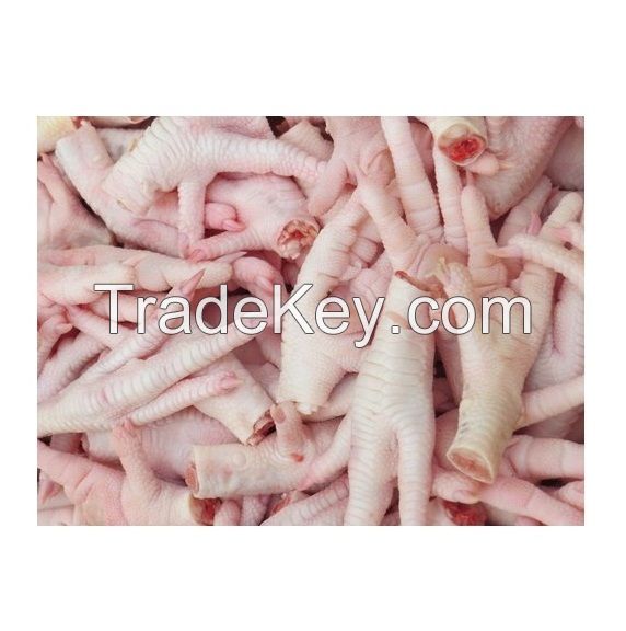 Fresh Frozen Chicken Feet/Chicken Drumstick/ frozen quarter chicken leg Quarter