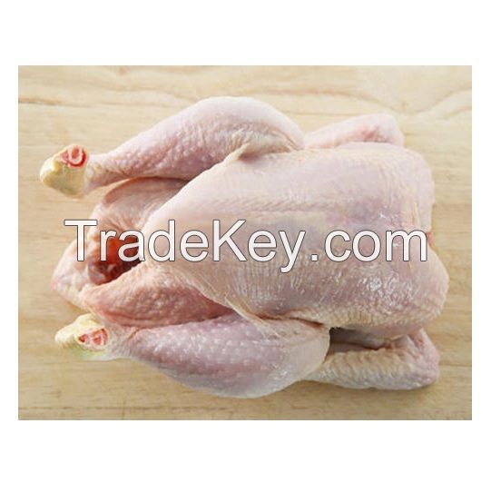 Frozen Chicken Wing Frozen Chicken Middle Wing Claw Breast Leg Frozen Food Meat