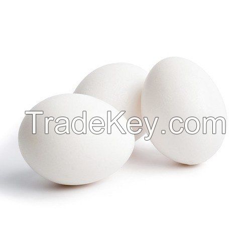 Best Quality Fresh Brown Table Chicken Eggs Cheap Fresh Chicken Table Eggs Fresh Chicken in bulk Brown Eggs