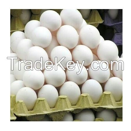 Good Quality Cheap Price White / Brown Shell Fresh Table Chicken Eggs For Export