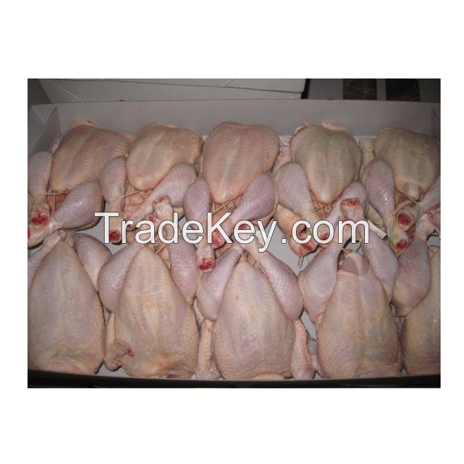 Quality Certified Halal Frozen Chicken Feet/ Chicken Wings/ Frozen Whole Chicken