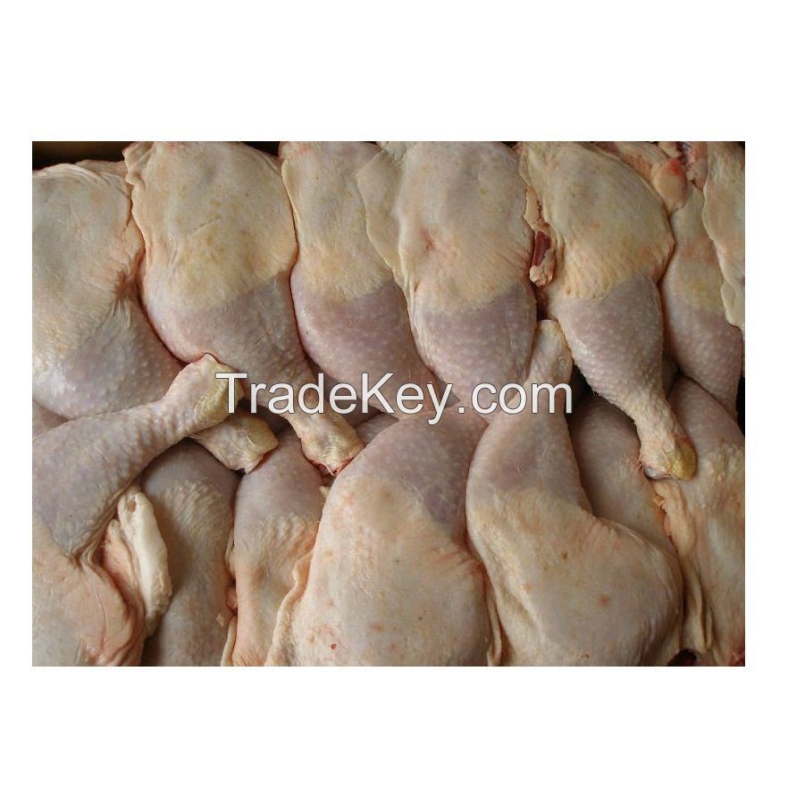 Frozen Chicken Feet / Quarter Chicken Leg / chicken breast bulk sellers