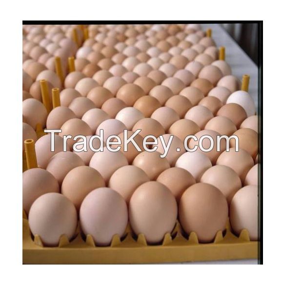 Cheap Wholesale Top Quality White / Brown Shell Fresh Table Chicken Eggs In Bulk