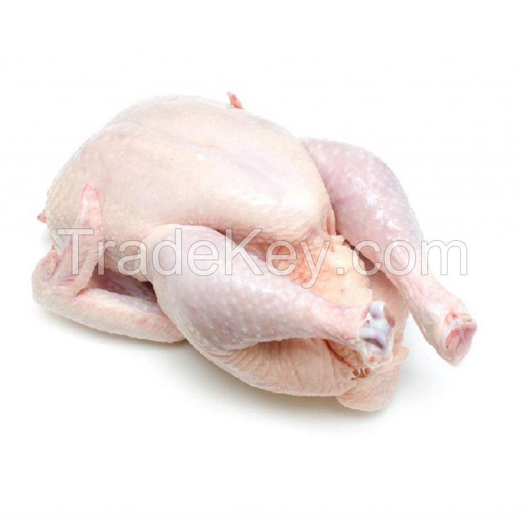 Quality Certified Halal Frozen Chicken Feet/ Chicken Wings/ Frozen Whole Chicken