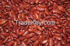 Kidney Beans