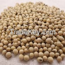 Soybeans