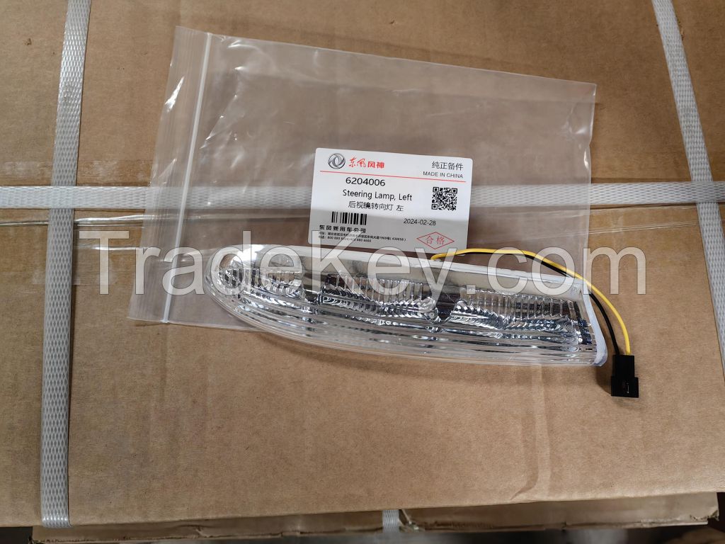 Steering Lamp, Right 6203006