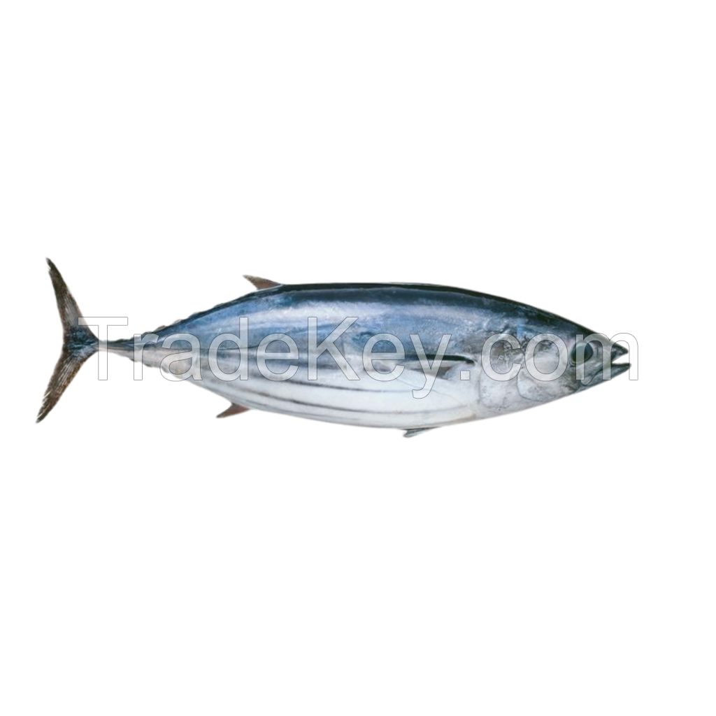 Tuna 