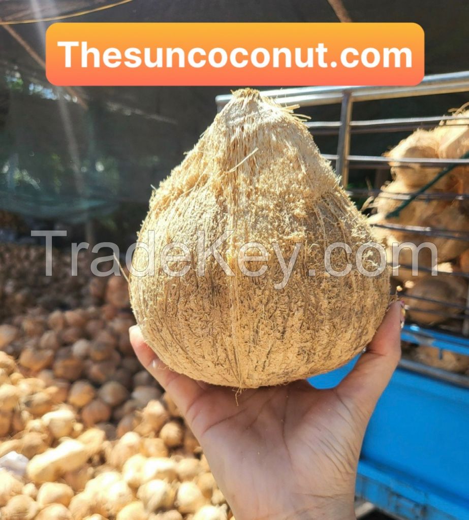 Semi Husk Coconut 