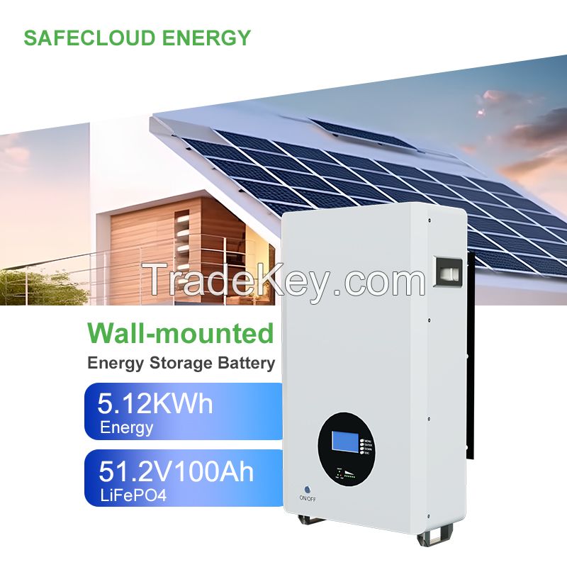 Customized 5kw 10kw 15kwBattery 48v Solar Energy 100ah 200ah 230ah 300ah Lithium Wall Battery Lifepo4 Pack 51.2 Volt Power Wall