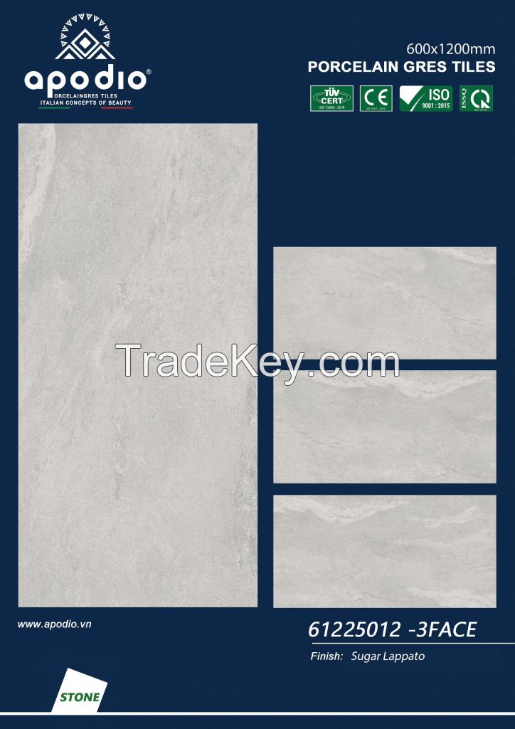 600*1200*9mm - lappato surface