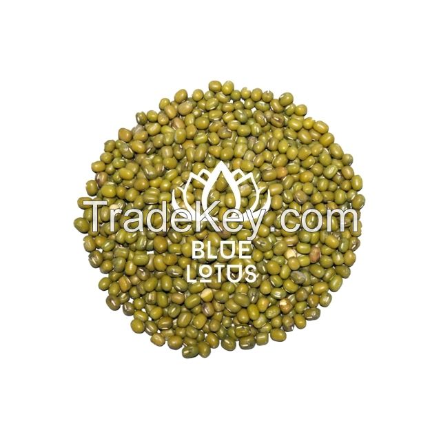 Vietnamese Mung Bean