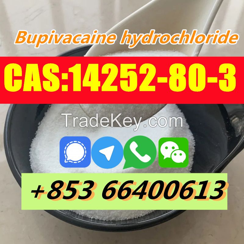  Factory Supply High Quality CAS 14252-80-3 Bupivacaine hydrochloride