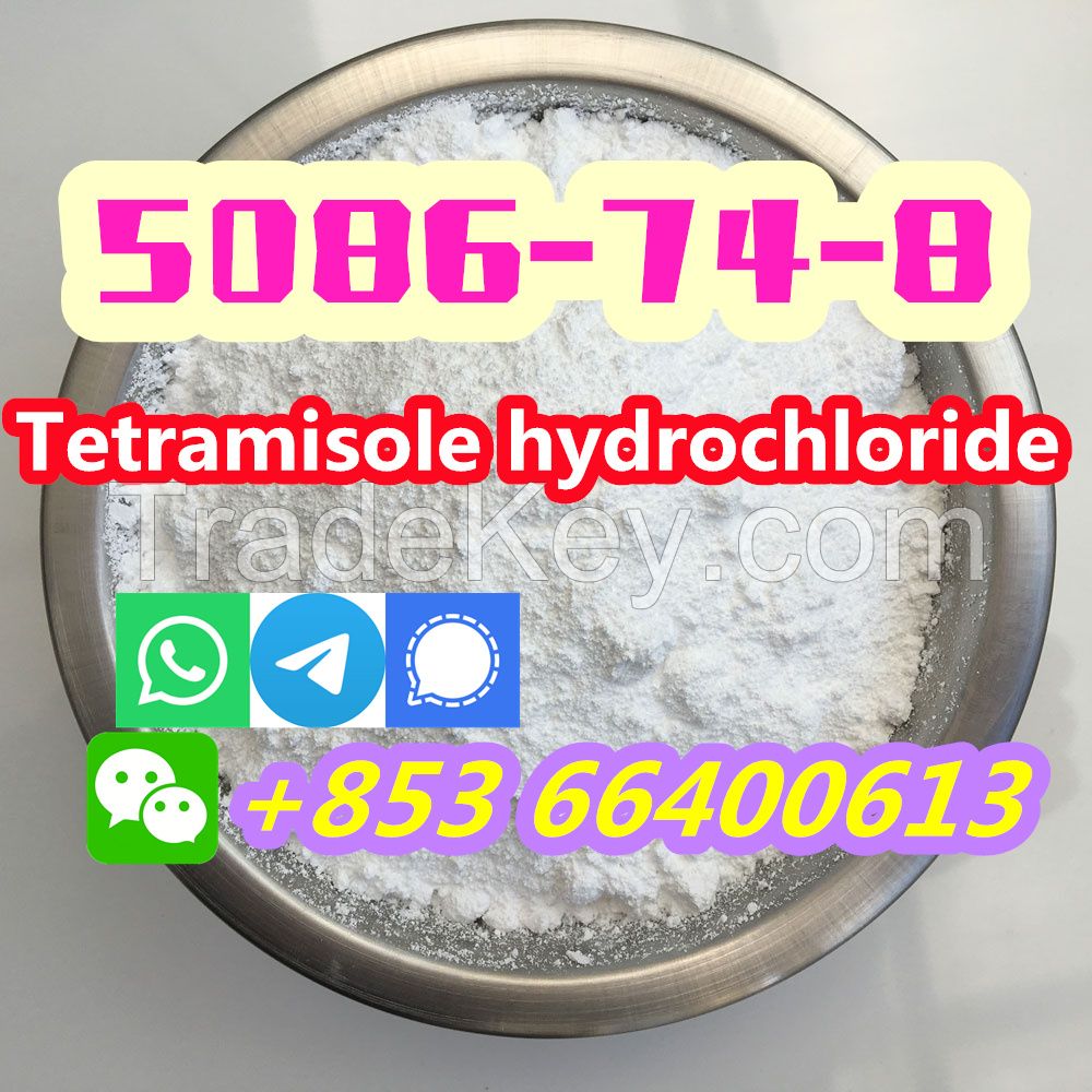  Manufacturers Direct 99% Pure CAS 5086-74-8 Tetramisole hydrochloride