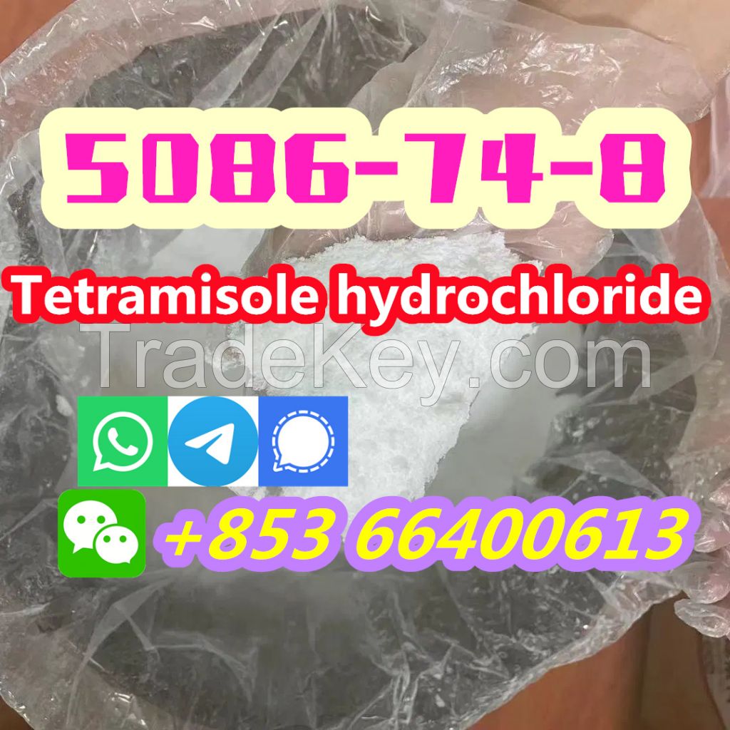  Manufacturers Direct 99% Pure CAS 5086-74-8 Tetramisole hydrochloride