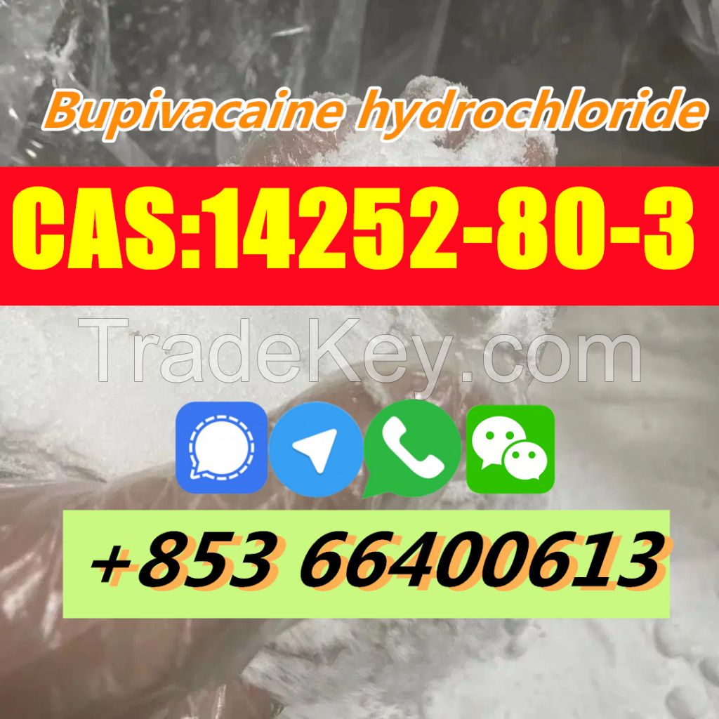  Factory Supply High Quality CAS 14252-80-3 Bupivacaine hydrochloride