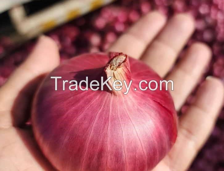 onion