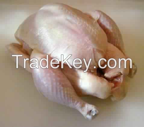 Wholesale Frozen Chicken Feet Chicken Paws