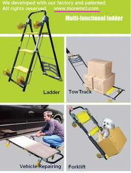 Multi-Function Ladder