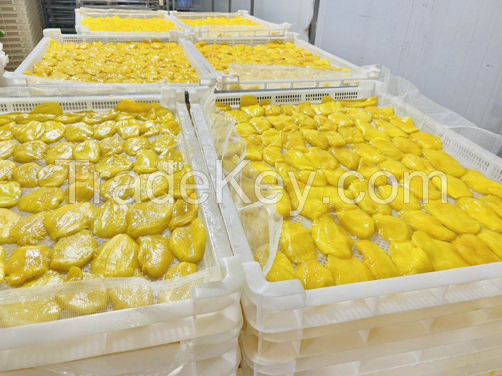 Soft Dried Mango from Vietnam Supplier