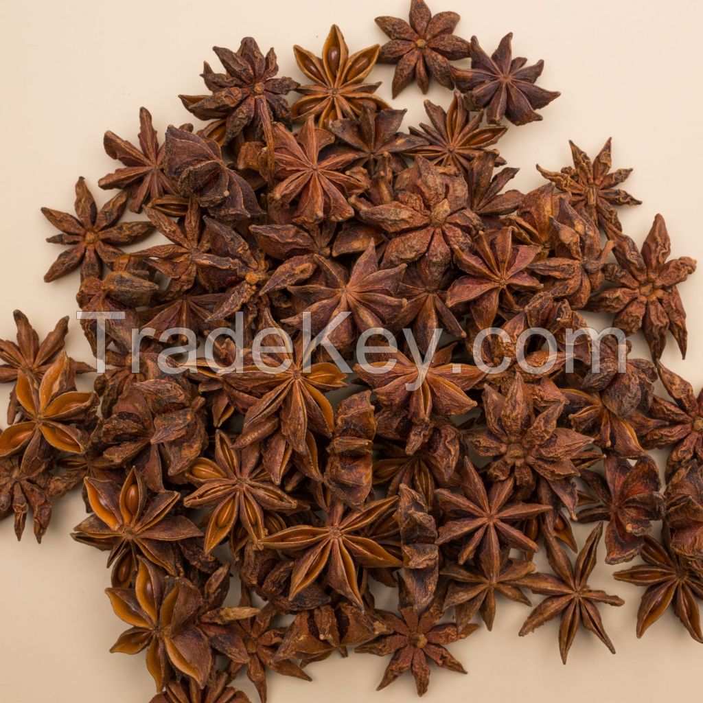 Spring Star Aniseed Wholesale From Vietnam 