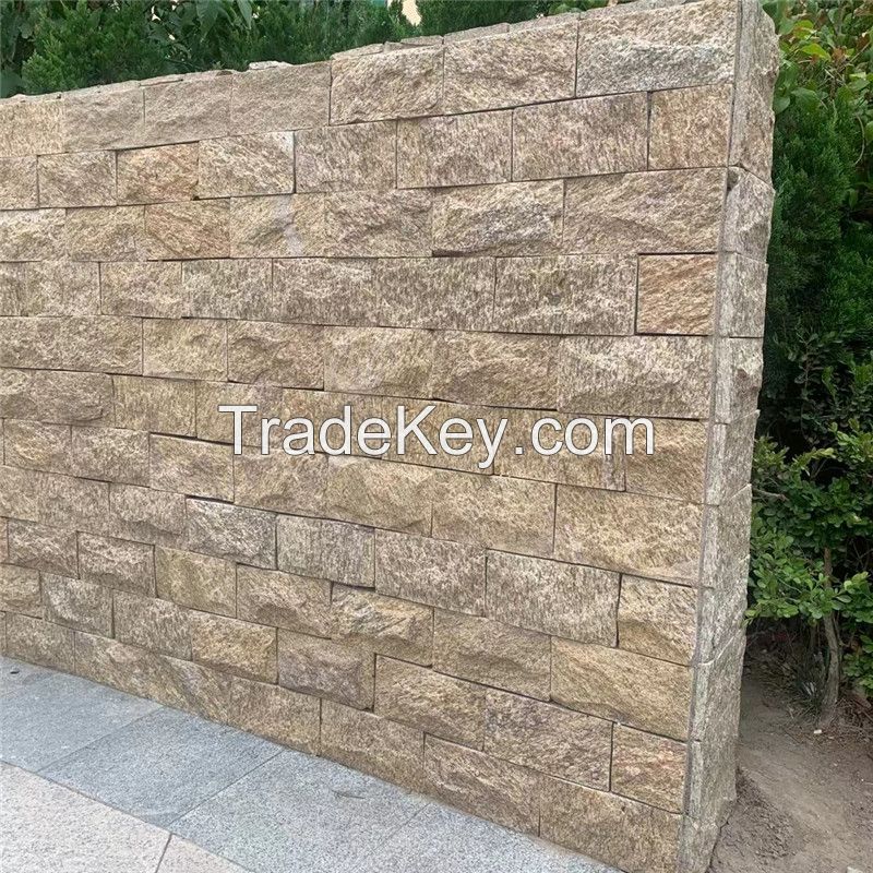 Tiger skin Yellow cultured stone mushroom surface for garden