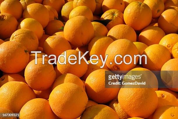 navel oranges