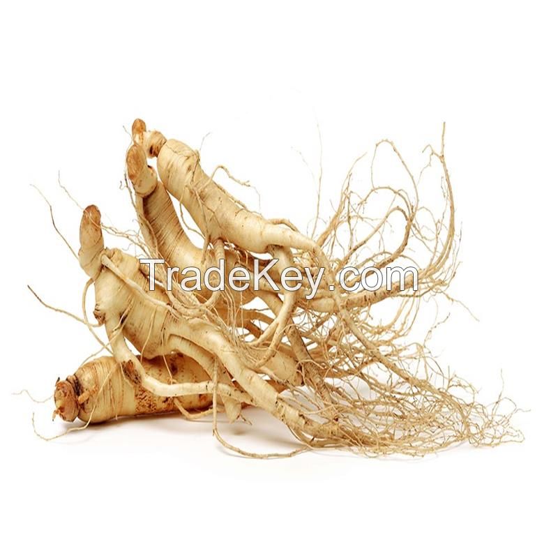 Panax Ginseng P.E. / Ginseng extract