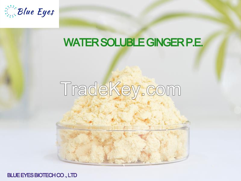 Water Soluble Ginger P.E