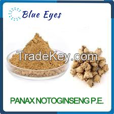 Panax Notoginseng P.E.