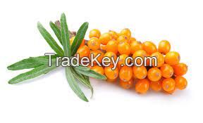 Fructus Hippophae P.E.