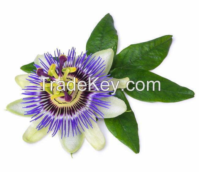 Passion flower P.E.