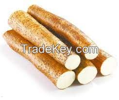 Wild Yam Extract/Wild Yan P.E