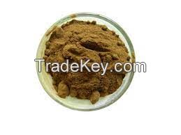 Sharpleaf Galangal Fruit Extract/Alpinia oxyphylla extract