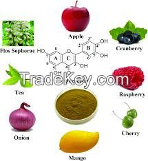 Quercetin powder 95% Sophora japonica flower extract