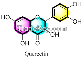 Quercetin powder 95% Sophora japonica flower extract