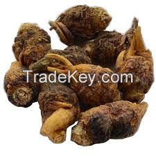 Maca Extract MacaP.E 