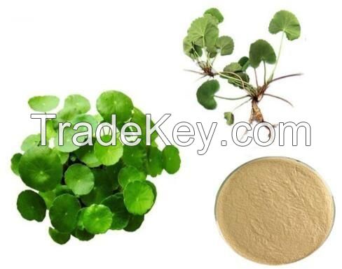 Hydrocotyle asiatica extract 10:1