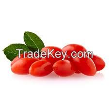 Lycium barbarum extract 10:1 Lycium barbarum polysaccharide50% Barbary Wolfberry Fruit P.E. Wolfberry Polysaccharides