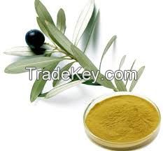 Olive Leaf Extract Oleuropein  Hydroxytyrosol