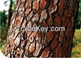 Pycnogenol Pine bark extract OPCs PBE