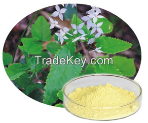 Epimedium Extract epimedium icariime pure plant extract  Herbal Extracts