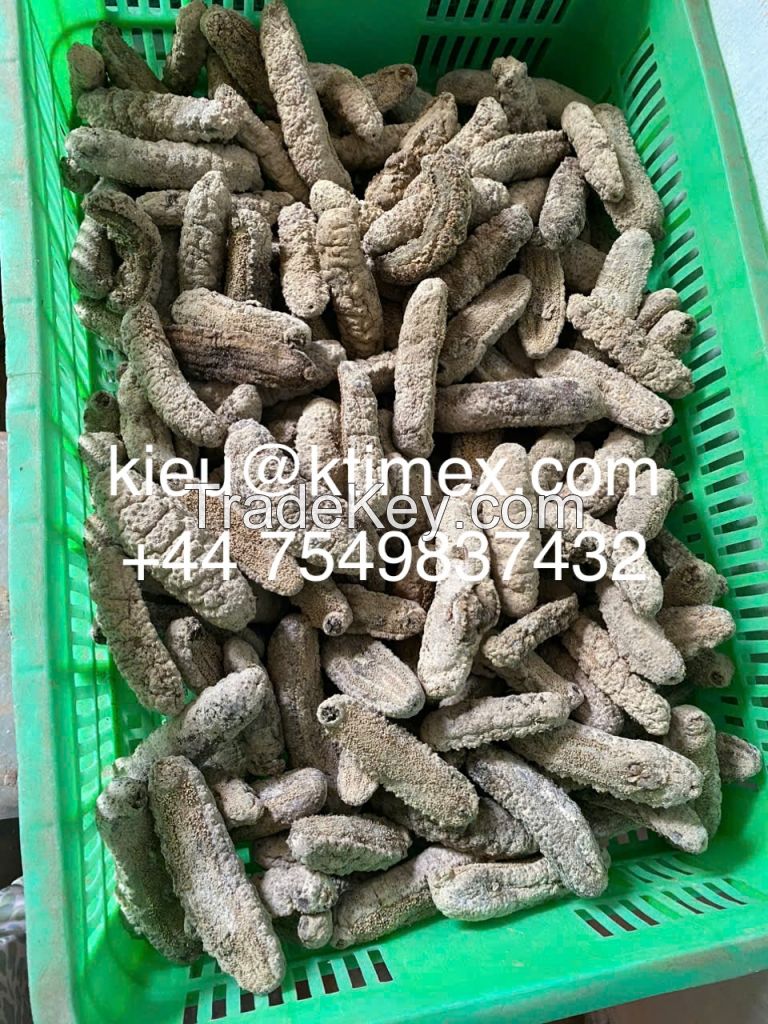 Dried Sea Cucumber 447549837432